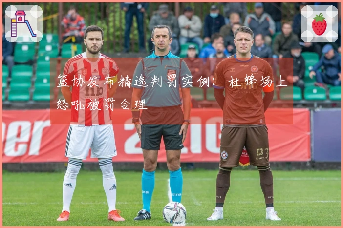 篮协发布精选判罚实例：杜锋场上怒吼被罚合理