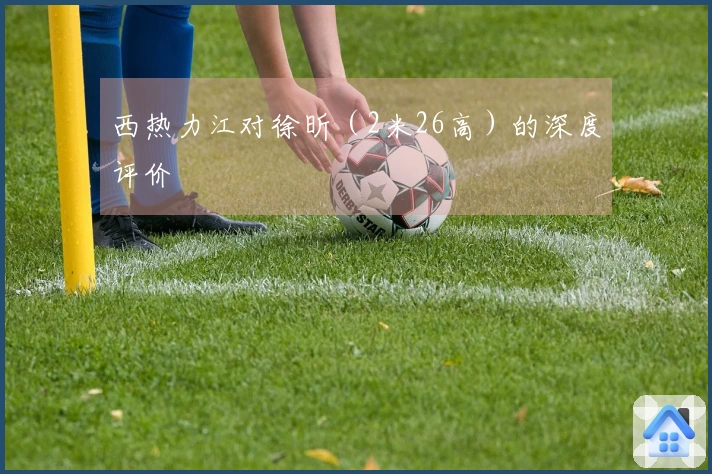 西热力江对徐昕（2米26高）的深度评价