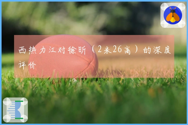 西热力江对徐昕（2米26高）的深度评价